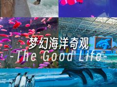 -蓬莱欧乐堡海洋极地世界