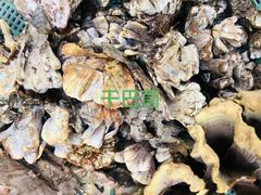 -野生菌火锅(菌王村店)