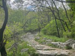 -阳台山自然风景区