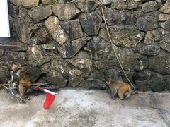 -太湖源风景区
