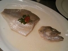 非一般鲈鱼-江南原著(中联广场店)