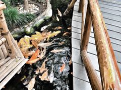 -上海大自然野生昆虫馆(东方明珠·爬宠昆虫探索中心)