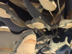 -宜家家居(四元桥商场店)