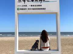 -秦皇岛阿尔卡迪亚滨海度假酒店