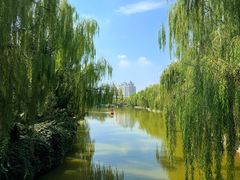 -南翠屏公园