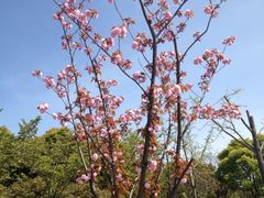 iphone_upload_pic-新江湾城公园