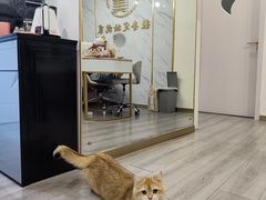 -远东大厦
