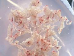 -八仔大富楼·河鲜(西江店)