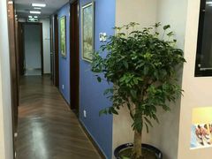 -精德口腔·种植修复·儿牙中心(财富中心店)