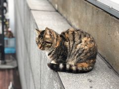 -UNI UNI(环亚凯瑟琳店)