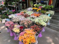 -宝鸡东道花鸟鱼虫市场(吉利花园商场店)