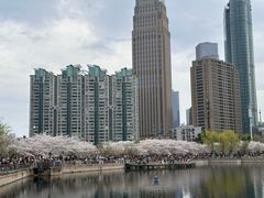 -西北湖绿化广场