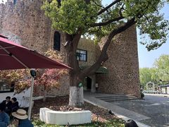 -J Create城市露营咖啡·简餐·宠物(上海动物园店)