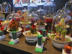 -双合园·海鲜水饺青岛菜(万佳广场店)