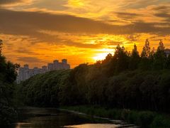 -昆山城市生态森林公园