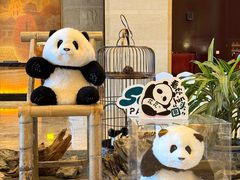 -成都保利公园皇冠假日酒店(熊猫基地店)