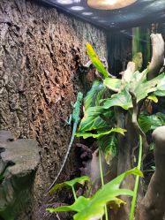 -酷嗒动物文化乐园(cutezoo西溪乐天城店)