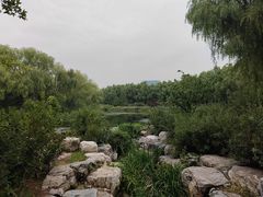 -大兴滨河森林公园