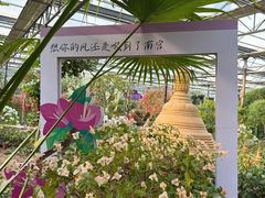 -南宫五洲植物乐园