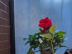 -安德烈俄式西餐厅(中央大街店)