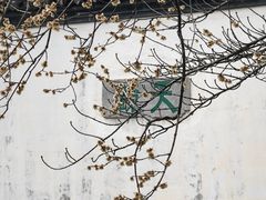 -常熟方塔园