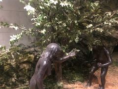 -北京周口店北京人遗址博物馆