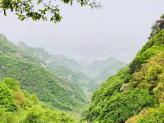-少华山国家森林公园