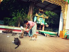 -ခြောက်ထပ်ကြီးရွှေသာလျောင်းဘုရားကြီး