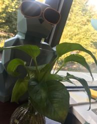-Lily纤美·科技减脂中心