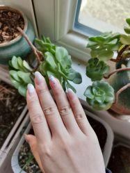 -如一·美甲美睫