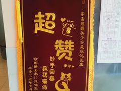 -瑞派申生动物医院·24H夜诊·国际动物医疗中心·骨外科(吴中路店)