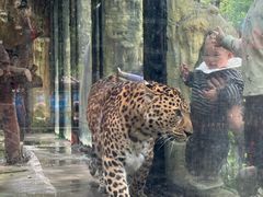 -贵州森林野生动物园
