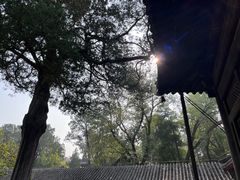 -大觉寺-停车场