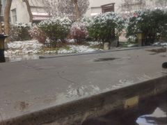 -中家鑫园温泉酒店鑫悦汤泉