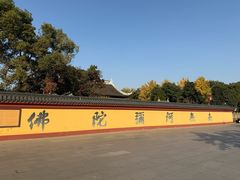 -上海东林寺(金山区)
