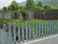 -都江堰中华大熊猫苑