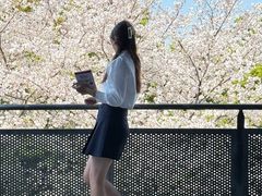 -IKEA宜家家居(南京商场)