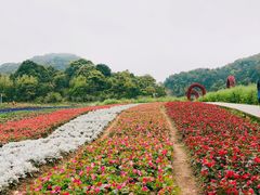 -广州市石门国家森林公园