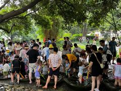 -成都市活水公园