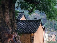 -杨家堂村