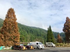 -武陵山森林公园