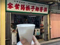 -洪馨椰子