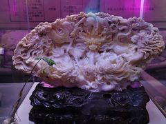 -贝壳梦幻世界