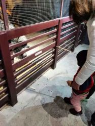 -酷嗒动物文化乐园(cutezoo西溪乐天城店)