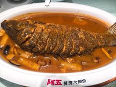 -阿五黄河大鲤鱼(纬三路店)