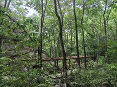 -大岭沟猕猴桃谷风景区