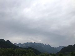 -王顺山国家森林公园