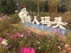 -东郊湿地公园