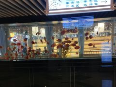 -玲珑汤泉生活会馆(花桥店)