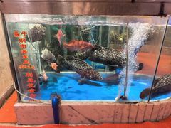 -惠食佳(滨江大公馆店)